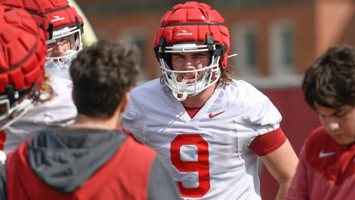 Razorbacks' tight end Luke Hasz may be key to different look for offense under Dan Enos this year.